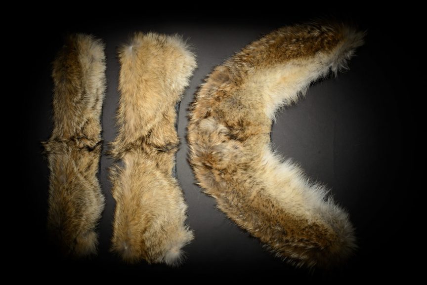 Coyote Fur Set